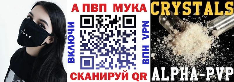 купить закладку  Черняховск  Alfa_PVP СК 